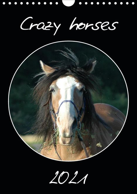 Claudia Lampert: Lampert, C: Crazy horses (Wandkalender 2021 DIN A4 hoch), Kalender