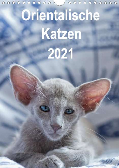 Heidi Bollich: Bollich, H: Orientalische Katzen 2021 (Wandkalender 2021 DIN, Kalender