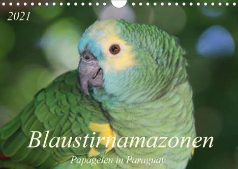 Bettina Schneider: Schneider, B: Blaustirnamazonen - Papageien in Paraguay (Wan, Kalender