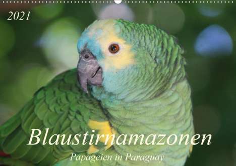 Bettina Schneider: Schneider, B: Blaustirnamazonen - Papageien in Paraguay (Wan, Kalender