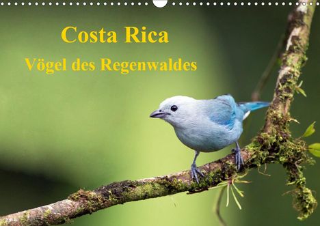 K. A. Akrema-Photography: Akrema-Photography, K: Costa Rica - Vögel des Regenwaldes (W, Kalender