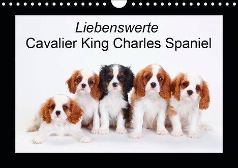 Petra Wegner: Wegner, P: Liebenswerte Cavalier King Charles Spaniel (Wandk, Kalender