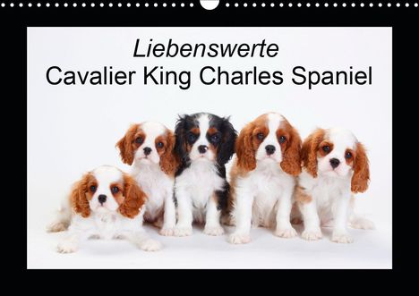 Petra Wegner: Wegner, P: Liebenswerte Cavalier King Charles Spaniel (Wandk, Kalender