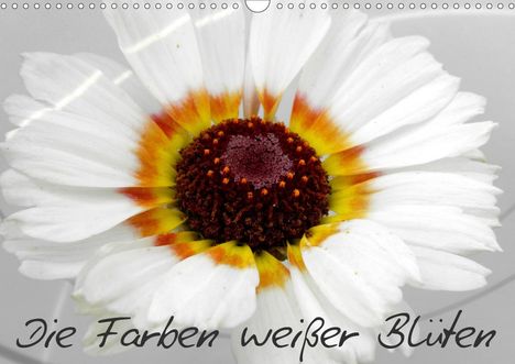 Birgit Knodt: Knodt, B: Farben weißer Blüten (Wandkalender 2021 DIN A3 que, Kalender
