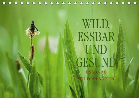 Markus Wuchenauer Pixelrohkost. De: Wuchenauer Pixelrohkost. De, M: WILD, ESSBAR UND GESUND Essb, Kalender