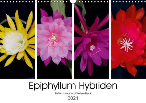 Steffen Gierok: Gierok, S: Epiphyllum-Hybriden (Wandkalender 2021 DIN A3 que, Kalender