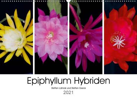 Steffen Gierok: Gierok, S: Epiphyllum-Hybriden (Wandkalender 2021 DIN A2 que, Kalender