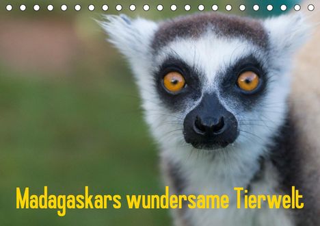 Antje Hopfmann: Hopfmann, A: Madagaskars wundersame Tierwelt (Tischkalender, Kalender