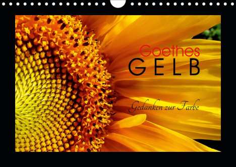 Lucy M. Laube: M. Laube, L: Goethes Gelb Gedanken zur Farbe (Wandkalender 2, Kalender