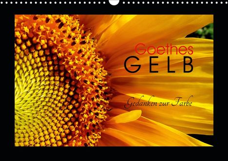 Lucy M. Laube: M. Laube, L: Goethes Gelb Gedanken zur Farbe (Wandkalender 2, Kalender