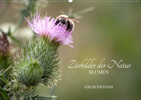 Dieter Fuchs: Fuchs, D: Zierbilder der Natur BLUMEN (Wandkalender 2021 DIN, Kalender