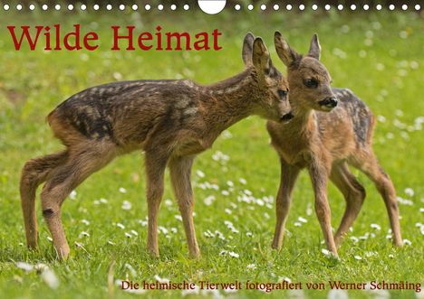 Werner Schmäing: Schmäing, W: Wilde Heimat (Wandkalender 2021 DIN A4 quer), Kalender