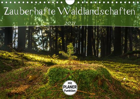 Marcel Wenk: Wenk, M: Zauberhafte Waldlandschaften (Wandkalender 2021 DIN, Kalender