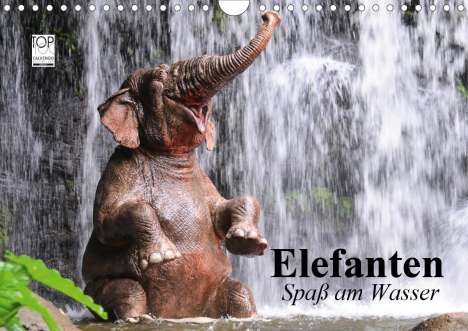 Elisabeth Stanzer: Stanzer, E: Elefanten. Spaß am Wasser (Wandkalender 2021 DIN, Kalender