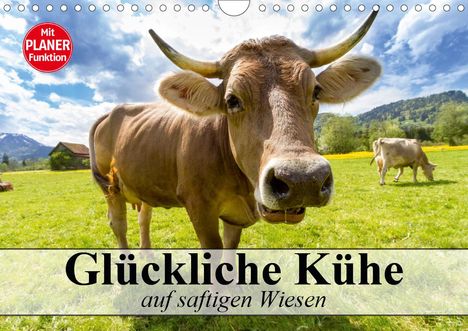 Elisabeth Stanzer: Stanzer, E: Glückliche Kühe auf saftigen Wiesen (Wandkalende, Kalender