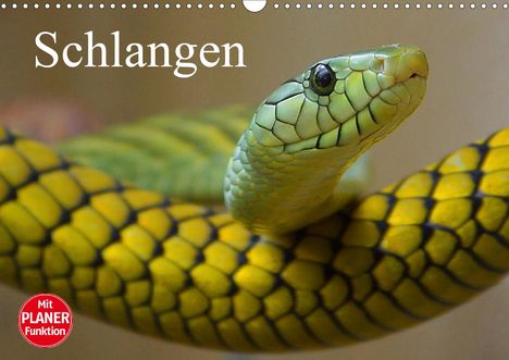 Elisabeth Stanzer: Stanzer, E: Schlangen (Wandkalender 2021 DIN A3 quer), Kalender