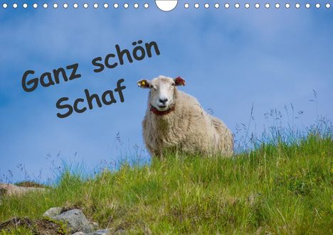 Kathrin Eimler: Eimler, K: Ganz schön Schaf (Wandkalender 2021 DIN A4 quer), Kalender