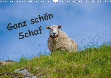 Kathrin Eimler: Eimler, K: Ganz schön Schaf (Wandkalender 2021 DIN A3 quer), Kalender