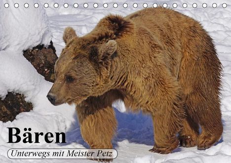 Elisabeth Stanzer: Stanzer, E: Bären. Unterwegs mit Meister Petz (Tischkalender, Kalender