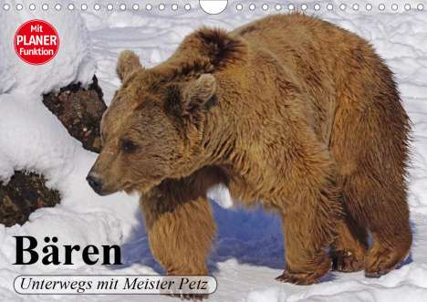 Elisabeth Stanzer: Stanzer, E: Bären. Unterwegs mit Meister Petz (Wandkalender, Kalender