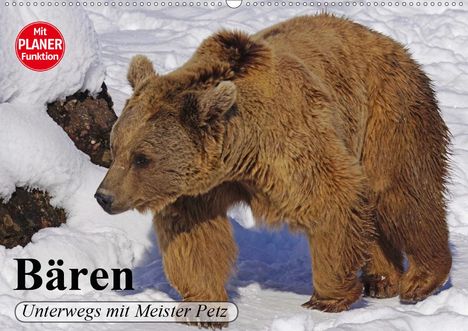 Elisabeth Stanzer: Stanzer, E: Bären. Unterwegs mit Meister Petz (Wandkalender, Kalender