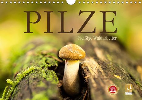 Markus Wuchenauer Pixelrohkost. De: Wuchenauer Pixelrohkost. De, M: Pilze - fleißige Waldarbeite, Kalender