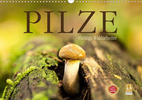 Markus Wuchenauer Pixelrohkost. De: Wuchenauer Pixelrohkost. De, M: Pilze - fleißige Waldarbeite, Kalender