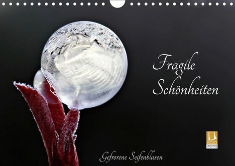 Sigrid Schiller-Bauer: Schiller-Bauer, S: Fragile Schönheiten - Gefrorene Seifenbla, Kalender