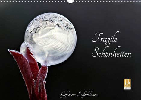 Sigrid Schiller-Bauer: Schiller-Bauer, S: Fragile Schönheiten - Gefrorene Seifenbla, Kalender