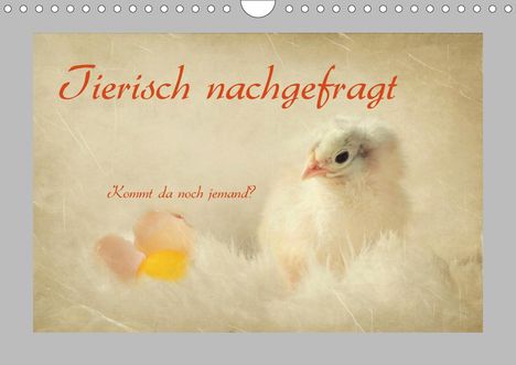 Heike Hultsch: Hultsch, H: Tierisch nachgefragt (Wandkalender 2021 DIN A4 q, Kalender
