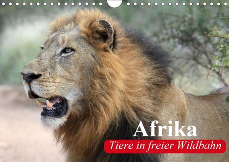 Elisabeth Stanzer: Stanzer, E: Afrika. Tiere in freier Wildbahn (Wandkalender 2, Kalender