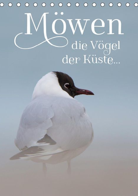 Spiegler (Anneliese-Photography), Heidi: Spiegler (Anneliese-Photography), H: Möwen - die Vögel der K, Kalender
