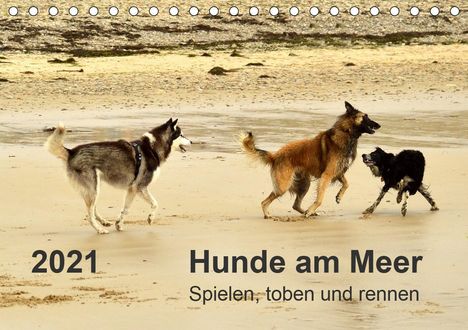 Dirk Walter: Walter, D: Hunde am Meer - Spielen, toben und rennen (Tischk, Kalender