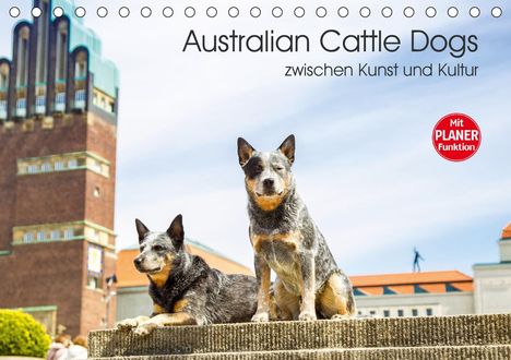 Fotodesign Verena Scholze: Verena Scholze, F: Australian Cattle Dogs zwischen Kunst und, Kalender