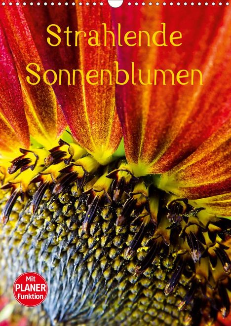 Karin Sigwarth: Sigwarth, K: Strahlende Sonnenblumen (Wandkalender 2021 DIN, Kalender