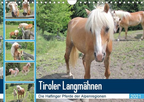 Katrin Lantzsch: Lantzsch, K: Tiroler LangmähnenAT-Version (Wandkalender 202, Kalender