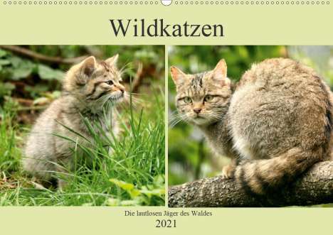 Arno Klatt: Klatt, A: Wildkatzen - Die lautlosen Jäger des Waldes (Wandk, Kalender