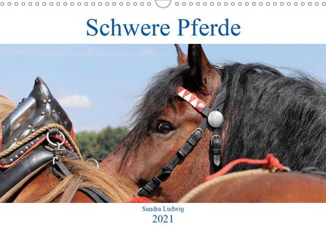 Sandra Ludwig: Ludwig, S: Schwere Pferde 2021 (Wandkalender 2021 DIN A3 que, Kalender