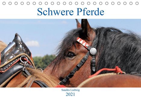 Sandra Ludwig: Ludwig, S: Schwere Pferde 2021 (Tischkalender 2021 DIN A5 qu, Kalender