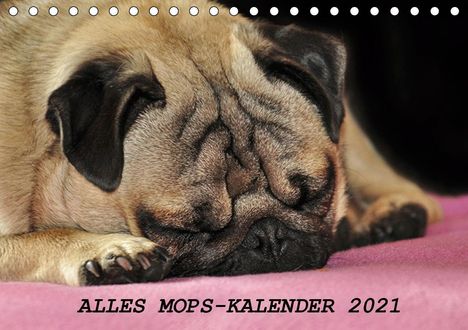 Sonja Hofmann: Hofmann, S: Alles Mops-Kalender 2021 (Tischkalender 2021 DIN, Kalender