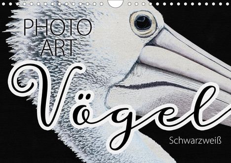 Susanne Sachers: Sachers, S: Vögel Schwarzweiß Photo Art (Wandkalender 2021 D, Kalender