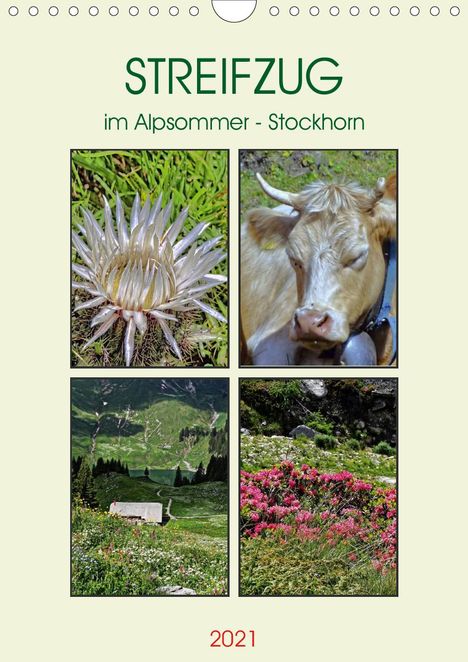Susan Michel: Michel, S: STREIFZUG im Alpsommer - Stockhorn (Wandkalender, Kalender