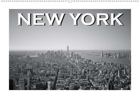 Robert Styppa: Styppa, R: New York in schwarz weiss (Wandkalender 2021 DIN, Kalender