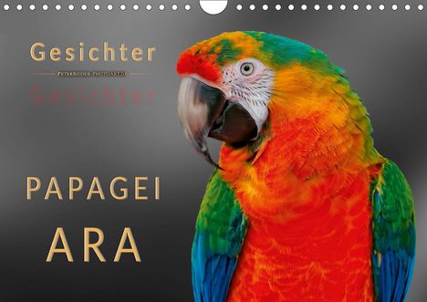 Peter Roder: Roder, P: Gesichter - Papagei Ara (Wandkalender 2021 DIN A4, Kalender