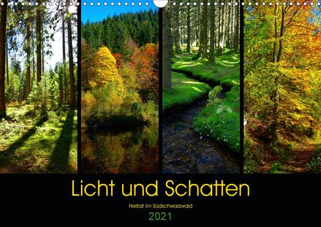 Lost Plastron Pictures: Plastron Pictures, L: Licht und Schatten - Herbst im Südschw, Kalender