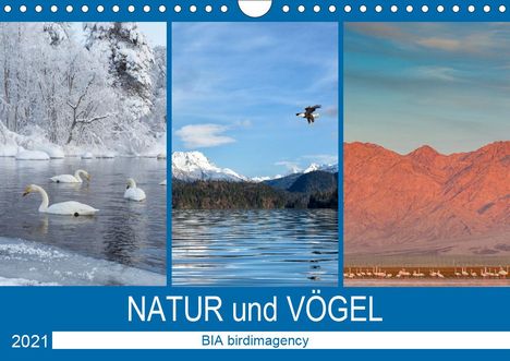 Bia Birdimagency: Birdimagency, B: Landschaften und Vögel (Wandkalender 2021 D, Kalender