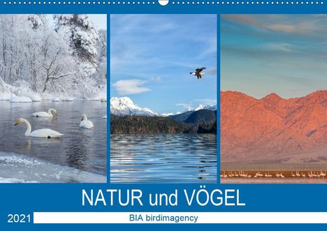 Bia Birdimagency: Birdimagency, B: Landschaften und Vögel (Wandkalender 2021 D, Kalender