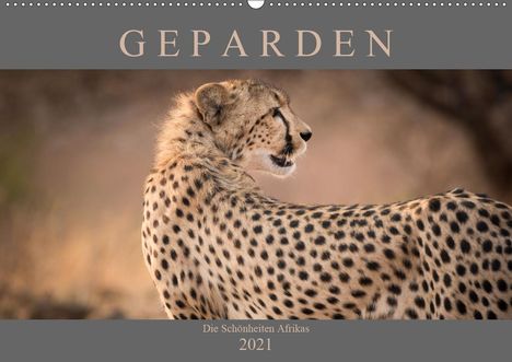 Markus Pavlowsky: Pavlowsky, M: Geparden - Die Schönheiten Afrikas (Wandkalend, Kalender