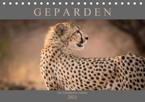 Markus Pavlowsky: Pavlowsky, M: Geparden - Die Schönheiten Afrikas (Tischkalen, Kalender