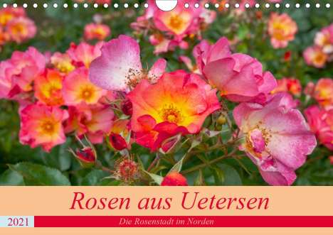 Carmen Steiner Matthias Konrad: Steiner Matthias Konrad, C: Rosen aus Uetersen (Wandkalender, Kalender